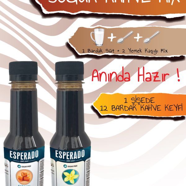 ESPERADO VANİLYA*KARAMEL AROMALI SOĞUK KAHVE 2 Lİ SET 250 ML
