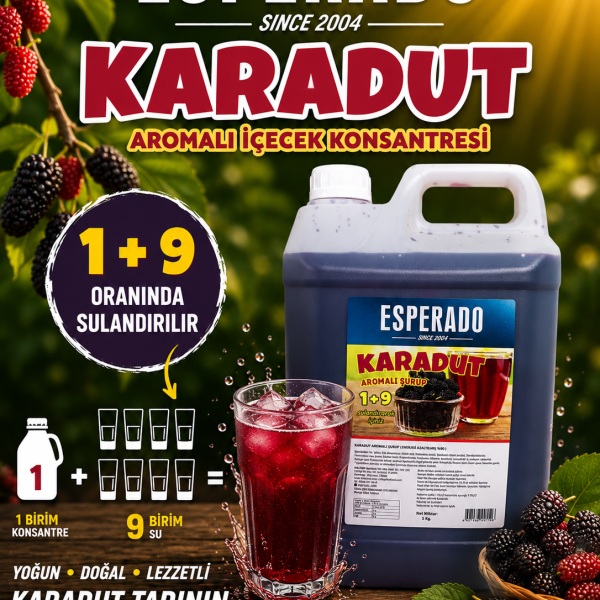 KARADUT AROMALI KONSANTRE MEYVE SUYU 5 LT - 1/9